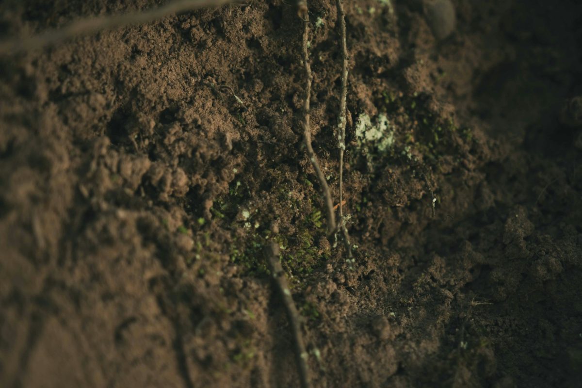 soil stabilizer arcon radian